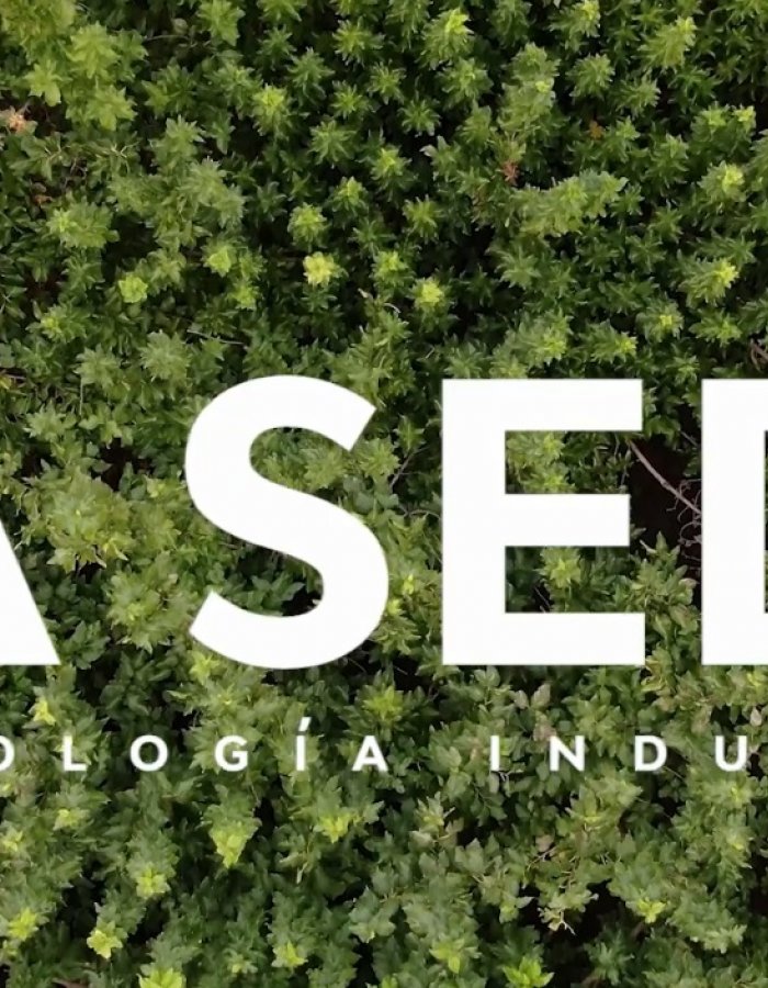 La seda: Arquitectura industrial