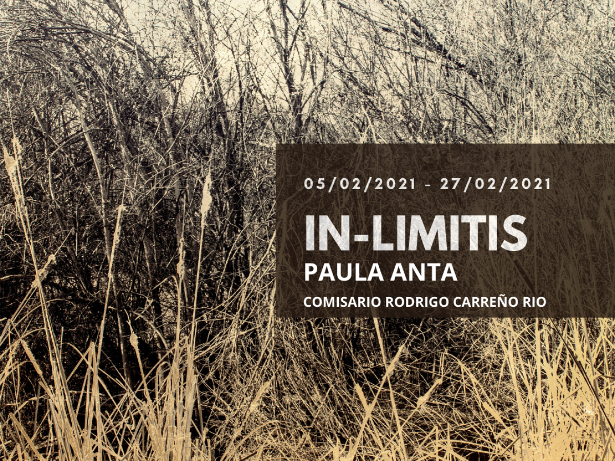 IN-LIMITIS, de Paula Anta